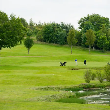 Woodstock 4* אניס