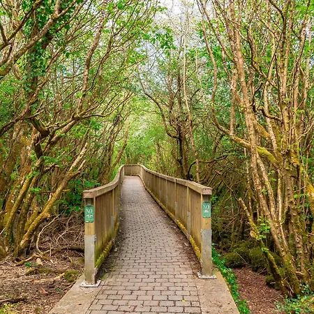 Woodstock 4* Ίννις