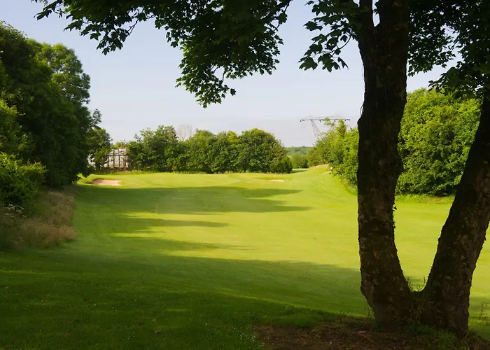 Woodstock 4* Эннис