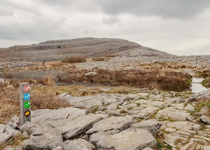 Hotel Woodstock Ennis