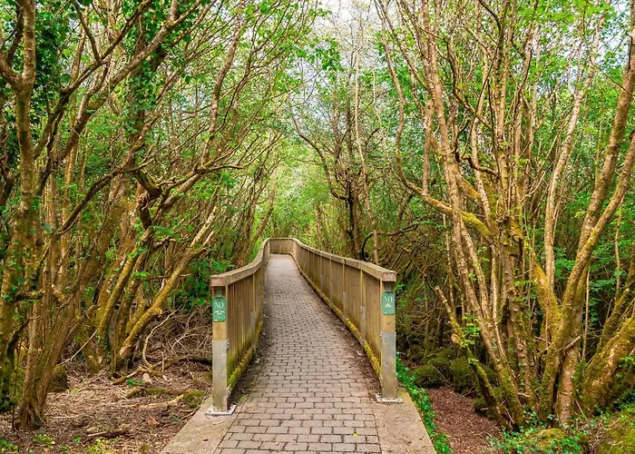 Woodstock 4* Эннис